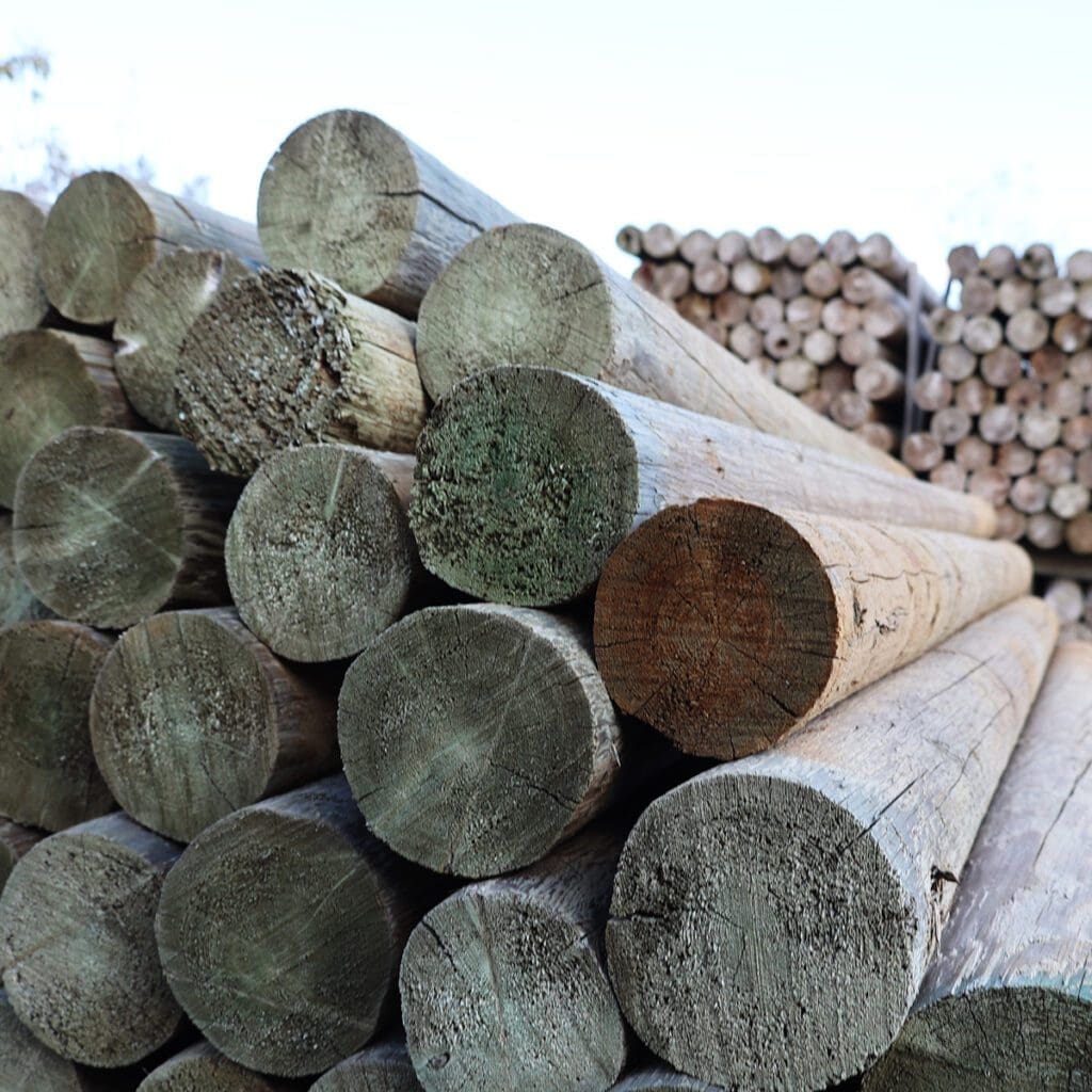 Green treated cedar posts with enhanced durability, ideal for outdoor projects like fencing, landscaping, and garden structures.