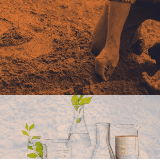 Basic Soil Test