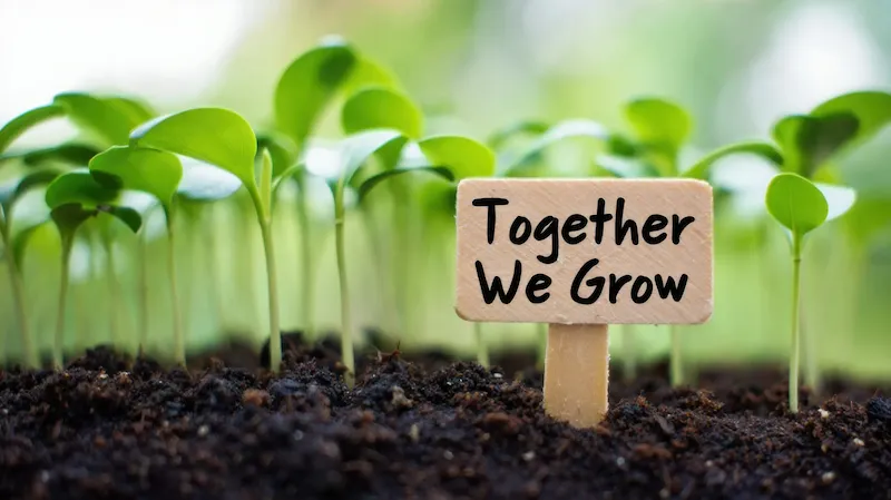Green seedling sprouts with wooden sign together we grow, plants in moist soil, community gardening teamwork, environmental sustainability, urban farming education, seedling care growth